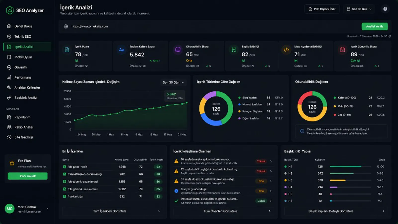 SEO Analyzer içerik analizi paneli