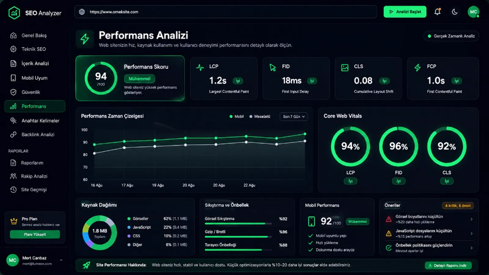 SEO Analyzer performans analizi paneli